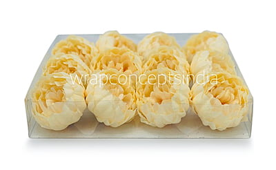 Corn Peony Corn Peony