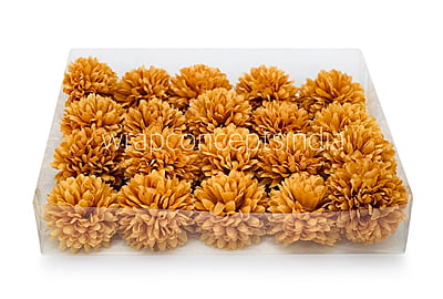 Carnation - Gold Carnation - Gold