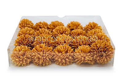 Carnation - Gold Carnation - Gold