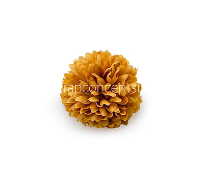 Carnation - Gold Carnation - Gold