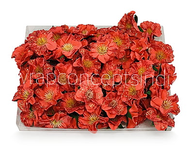 Red Glitter Poppy Red Glitter Poppy