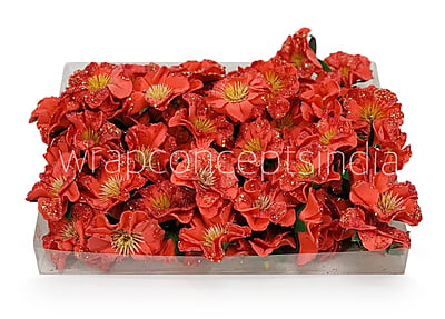 Red Glitter Poppy Red Glitter Poppy