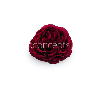 Ornate Peony - Maroon Ornate Peony - Maroon