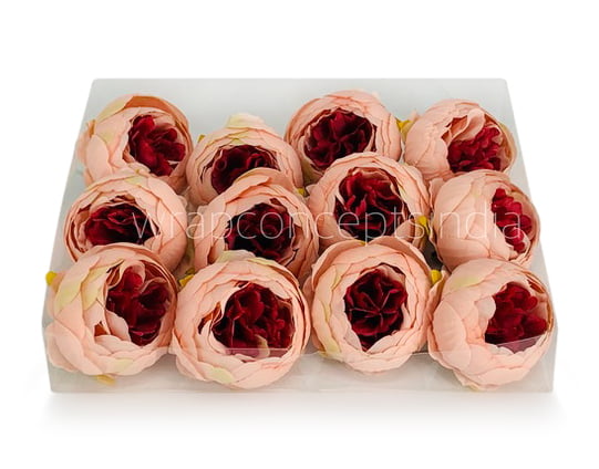 Peony - Peach with Brick Red Peony - Peach with Brick Red