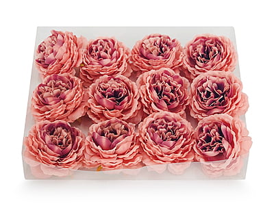 Ornate Peony - Peach with hints of Burgundy