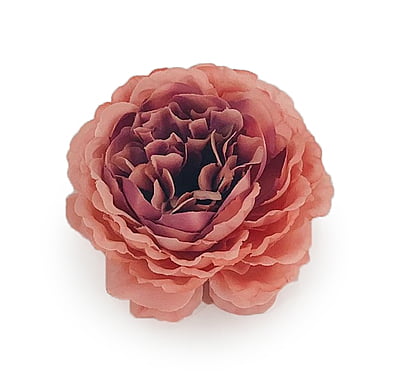 Ornate Peony - Peach with hints of Burgundy