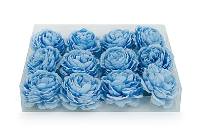 Ornate Peony-Sky Blue Ornate Peony-Sky Blue