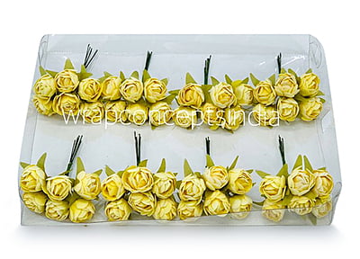 Lemon Close Peony