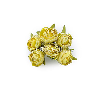 Lemon Close Peony