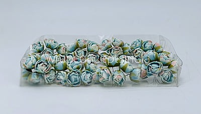 Sky Blue with hints of Pink Close Peony Sky Blue with hints of Pink Close Peony