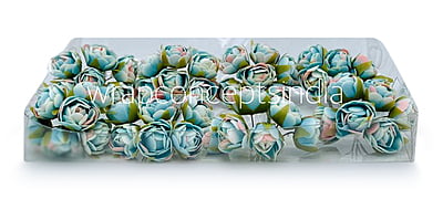 Sky Blue with hints of Pink Close Peony Sky Blue with hints of Pink Close Peony