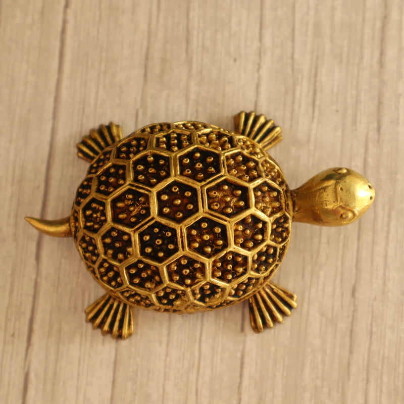Premium Light Weight Tortoise