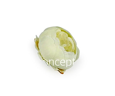 Peony - Ivory Peony - Ivory