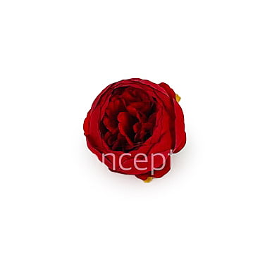 Peony - Red Peony - Red