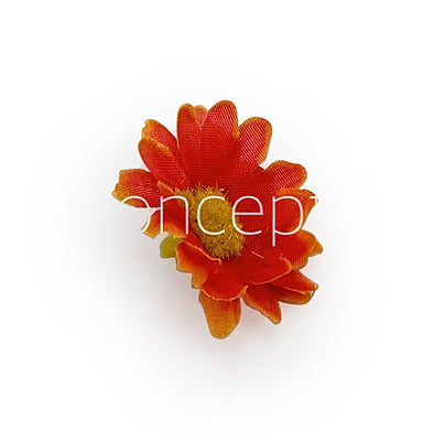 Burnt Orange Daisy Flowers Burnt Orange Daisy Flowers