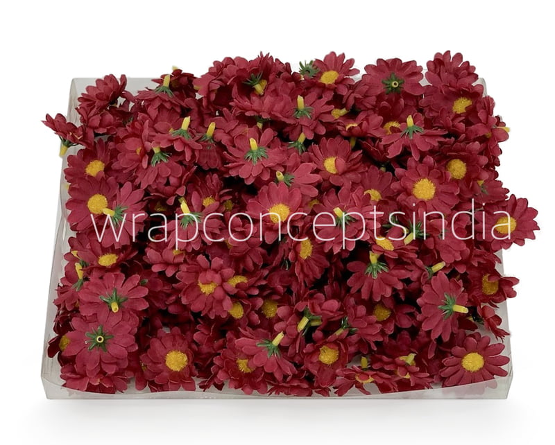 Wine Daisy Flowers Wine Daisy Flowers