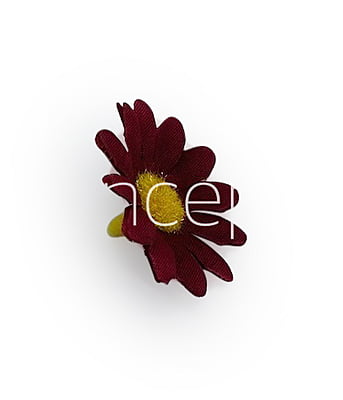 Wine Daisy Flowers Wine Daisy Flowers