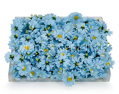 Soft Blue Daisy Flowers Soft Blue Daisy Flowers
