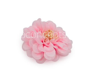 Dahlia Flower - Baby Pink Dahlia Flower - Baby Pink