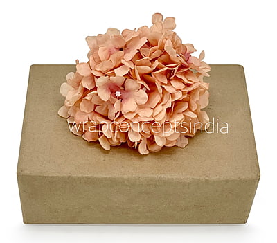 Cantaloupe Hydrangeas Cantaloupe Hydrangeas