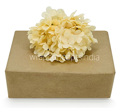 Egg Nog Hydrangeas