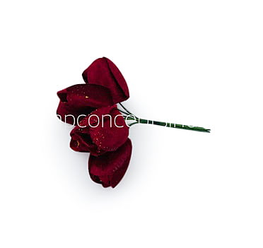Ruby Tulip Buds on Stick