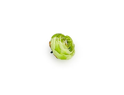 Small Peony-Lime Green