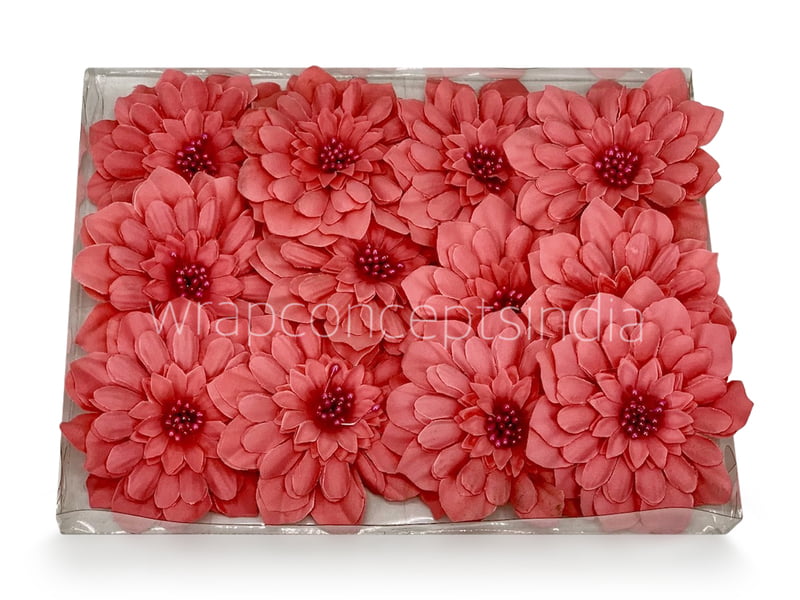 Dahlia Flower - Watermelon Dahlia Flower - Watermelon