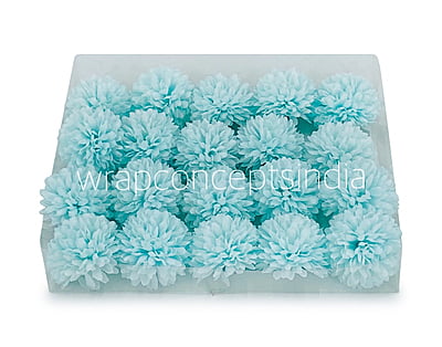 Carnation - Tiffany Blue Carnation - Tiffany Blue