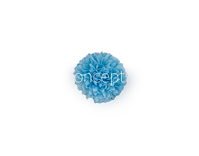Carnation - Sky Blue Carnation - Sky Blue