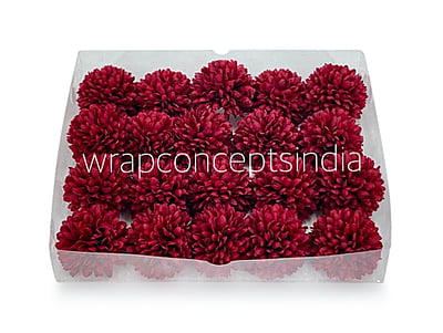 Carnation- Maroon Carnation- Maroon