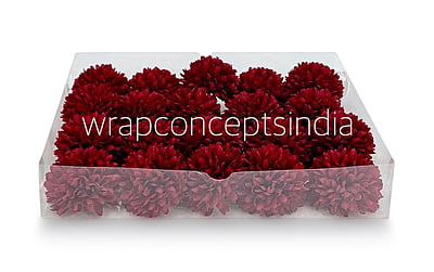 Carnation- Maroon Carnation- Maroon