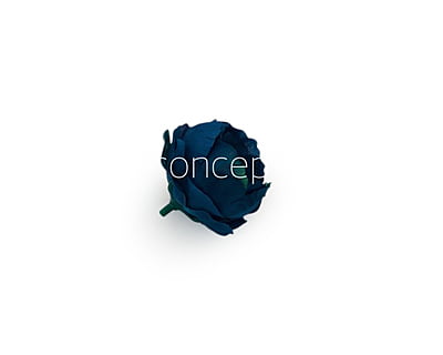Cobalt Blue with hints of Green Peonies Cobalt Blue with hints of Green Peonies