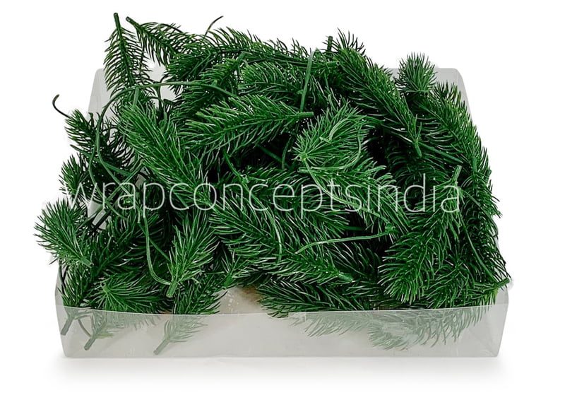 Pine Tree Leaves Pine Tree Leaves