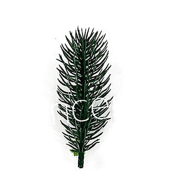 Pine Tree Leaves Pine Tree Leaves