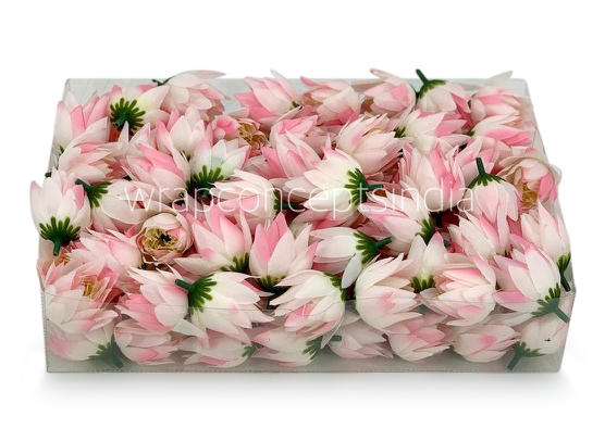 Bell Flower - White With Hits Of Pink Bell Flower - White With Hits Of Pink