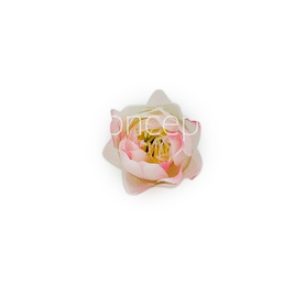Bell Flower - White With Hits Of Pink Bell Flower - White With Hits Of Pink
