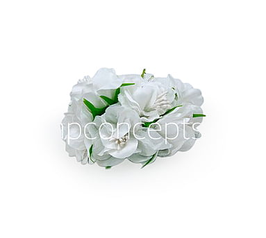 White Flower On Stick with Pollen White Flower On Stick with Pollen