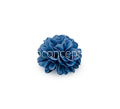 Steel Blue Carnation Steel Blue Carnation