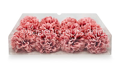 Pinkish Red Carnation Pinkish Red Carnation