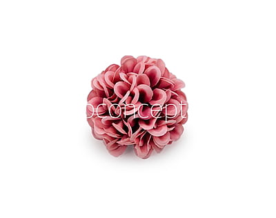 Pinkish Red Carnation Pinkish Red Carnation