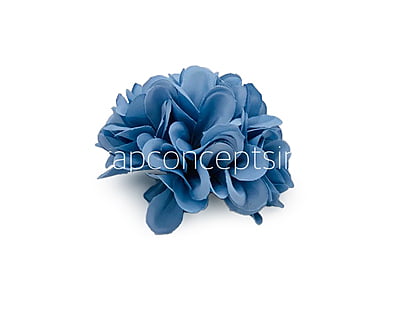 Steel Blue Carnation Steel Blue Carnation