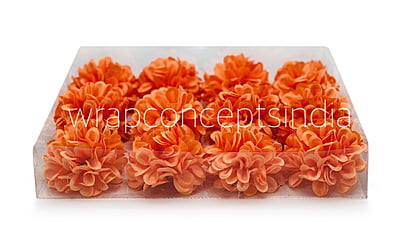 Flame Carnation Flame Carnation