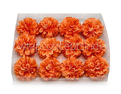 Flame Carnation Flame Carnation