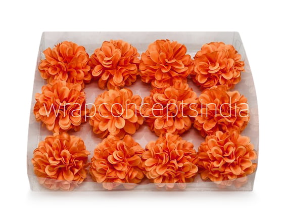 Flame Carnation Flame Carnation