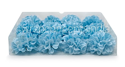 Sky Blue Carnation Sky Blue Carnation
