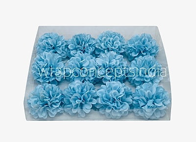 Sky Blue Carnation Sky Blue Carnation