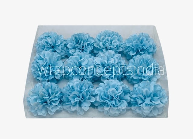 Sky Blue Carnation Sky Blue Carnation
