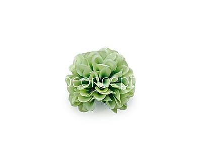 Chinoise Green Carnation Chinoise Green Carnation
