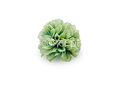 Chinoise Green Carnation Chinoise Green Carnation